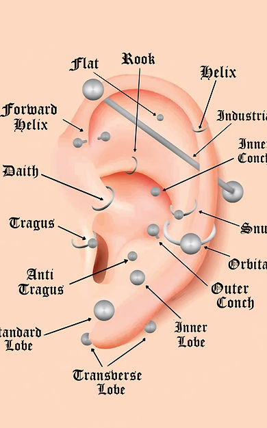 ear piercings