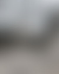 2021.11.06