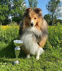 WhatsApp Image 2024-07-10 at 04.19.25_64f8a3ed.jpg