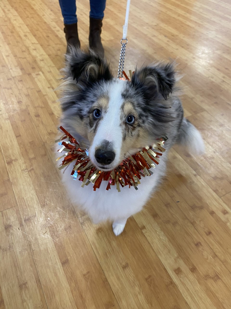 thumbnail_image4 (1)