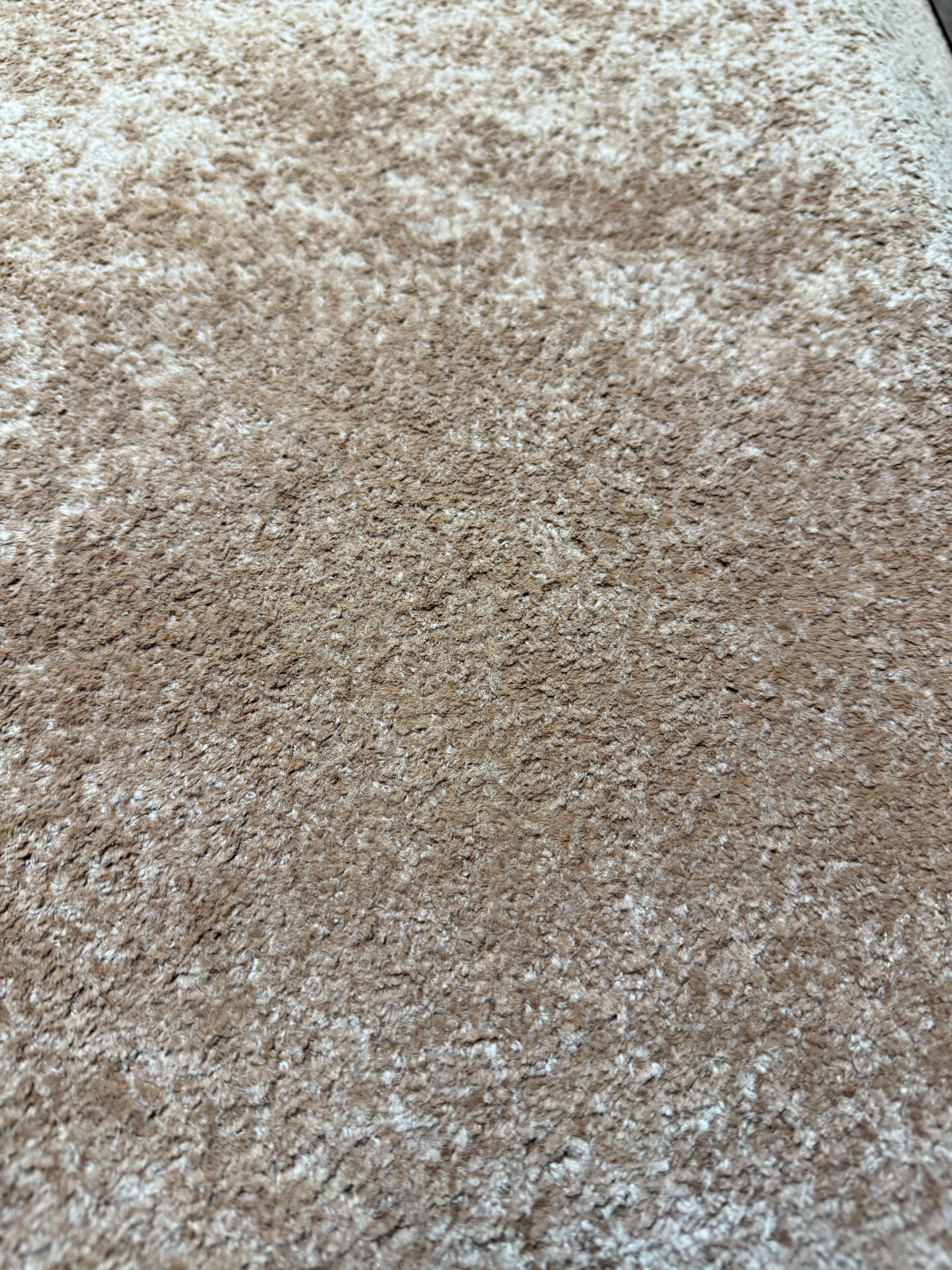 Bonita upholstery fabric in warm beige