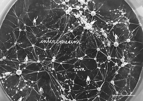 La Tierra se está transformando - Foto 2.jpg