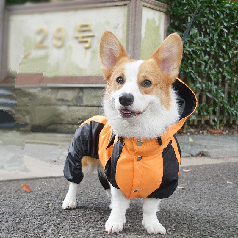 Miniaturbild: Giubbotti per Cani tutto-per-animali