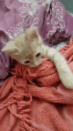 gatillo-pumpu.gif