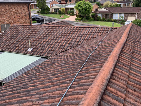 Roof Painting Central Coast: Does It Increase Your Home's Value?