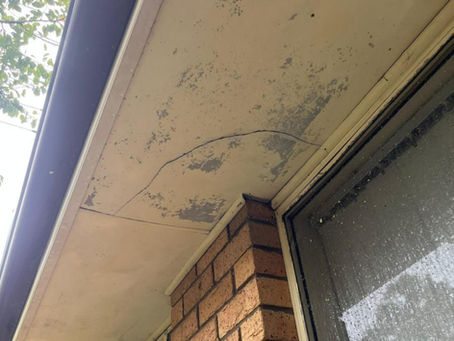 Professionally Painting Fascia Boards and Eaves - Is It Worth it?