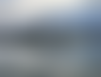 Tor Shipping | Agent for British military vessel 