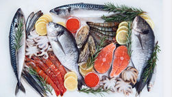 SJÓKOVIN | Ársfrágreiðingin verður løgd fram