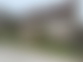 February – a garden of opposites