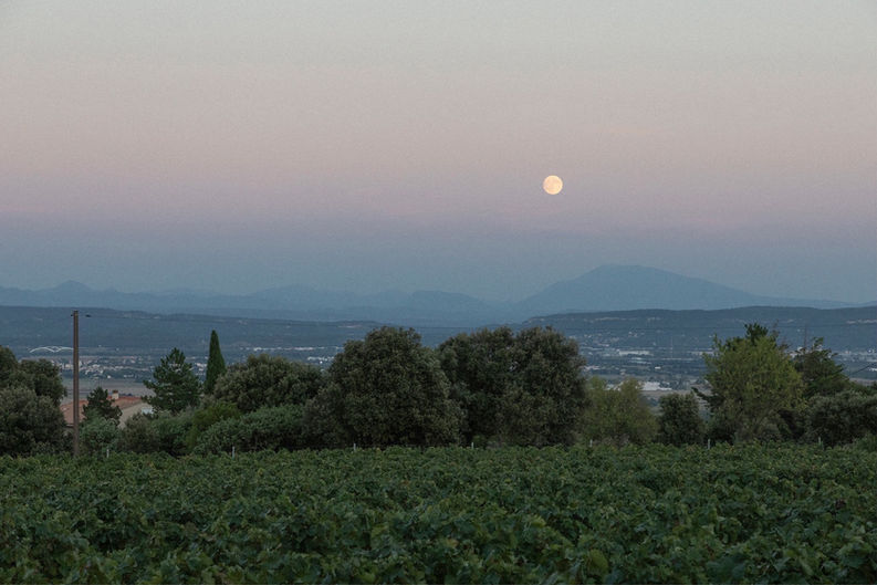 Gîte en pleine nature - Vue panoramique - Mont Ventoux - @Gregoire Edouard