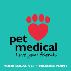 PET_MEDICAL_250PX.gif