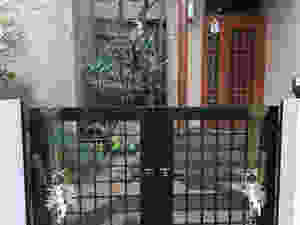 梅の剪定2
