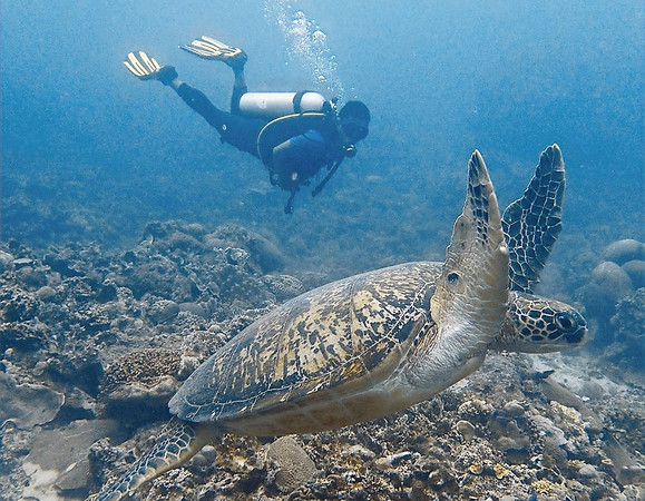 y4mb4YCP0f-_YVRdbkD-ttjKjcMVJKtggWOVXA-i