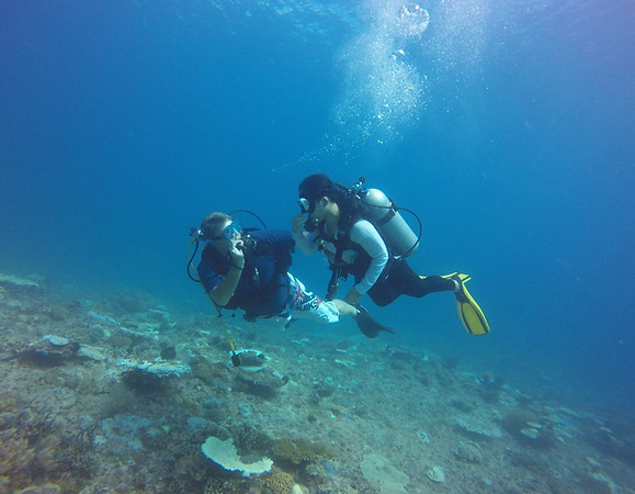 Intro dive Doren.jpg