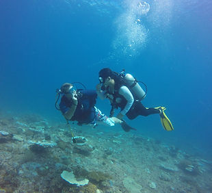 PADI Discover Scuba Diving
