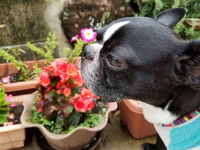 名指しで・・・!