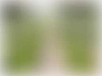 「おはか」について。