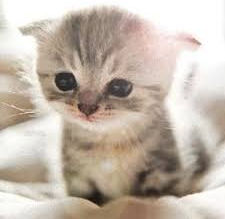 いつでもお問い合わせください。