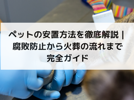 ペットの安置方法を徹底解説｜腐敗防止から火葬の流れまで完全ガイド