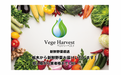 スクリーンショット 2022-05-11 18.08.29.png