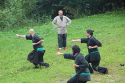 kempo Seiun cinte tesino
