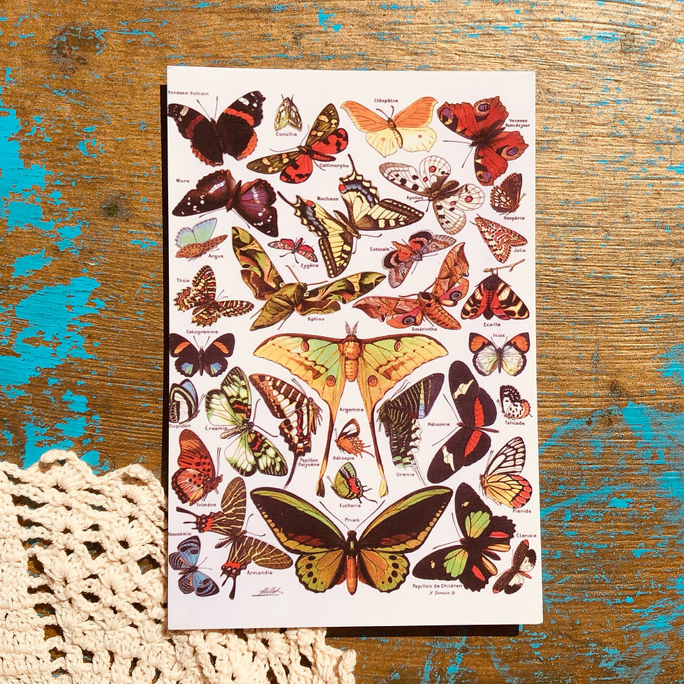 Thumbnail: Appalachian Floral 5 Pack Wall Prints