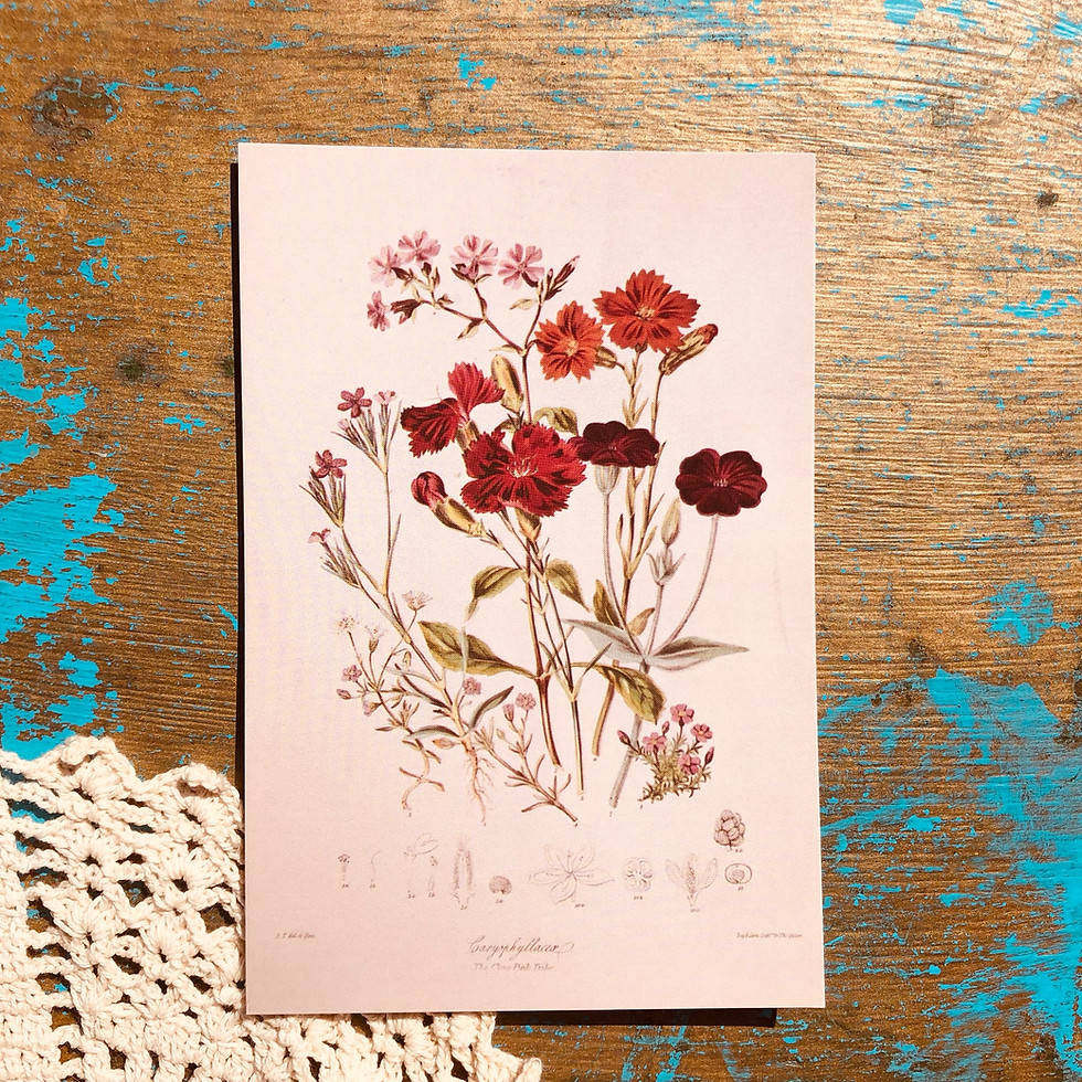 Thumbnail: Farm House 5 Pack Wall Prints