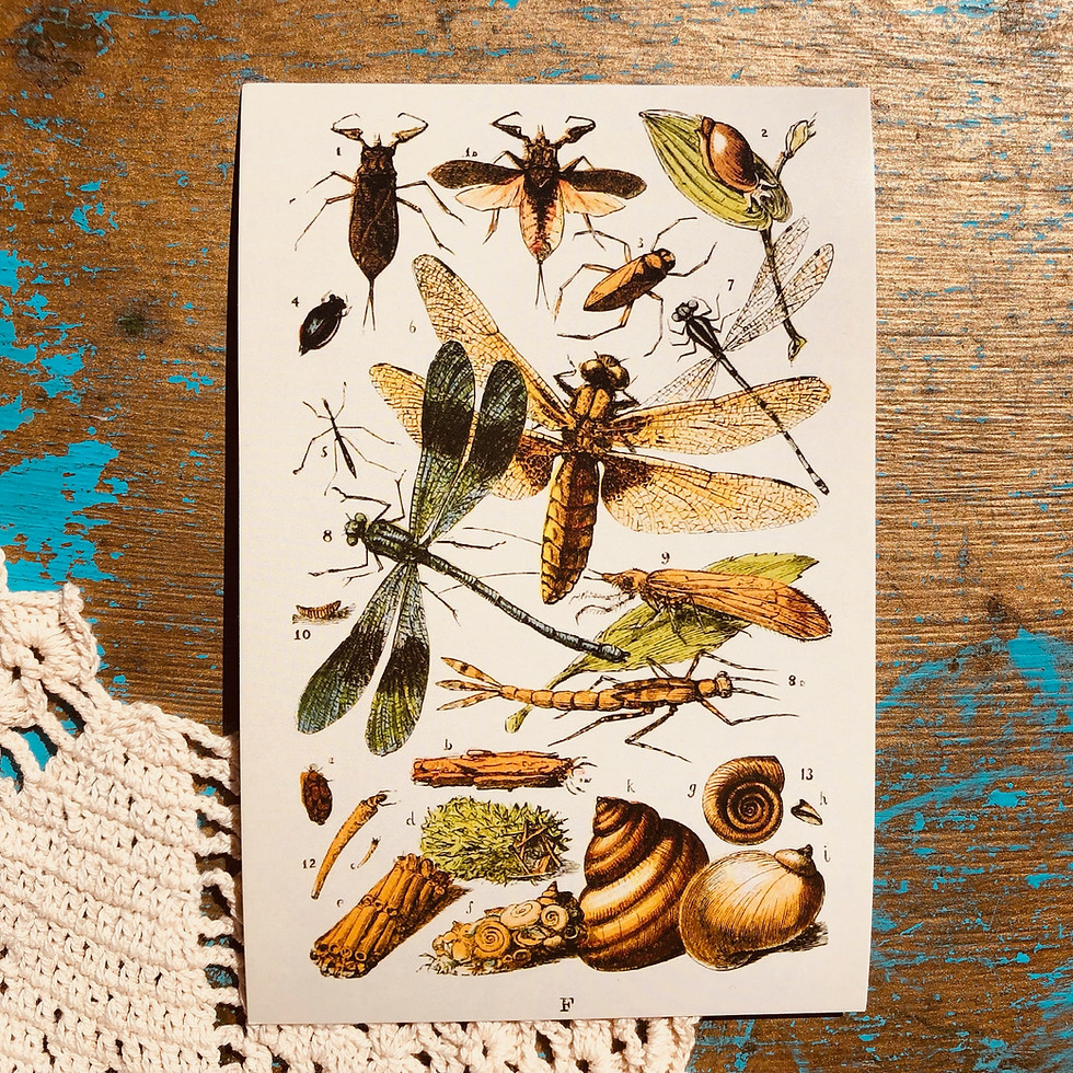 Thumbnail: Green Goddess 5 Pack Wall Print