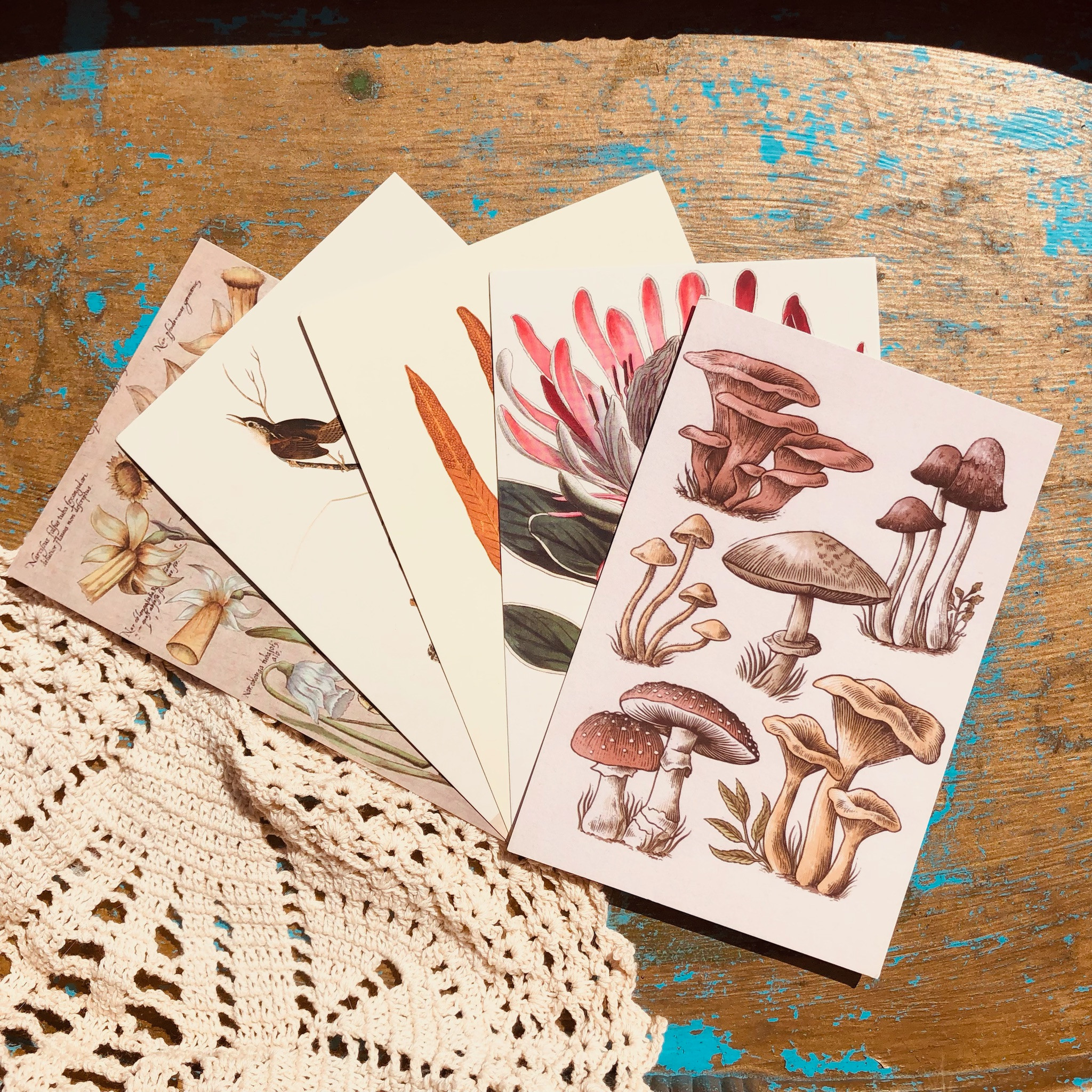 Fresh Earth 5 Pack Wall Prints