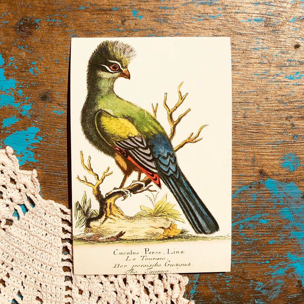 Thumbnail: Green Goddess 5 Pack Wall Print