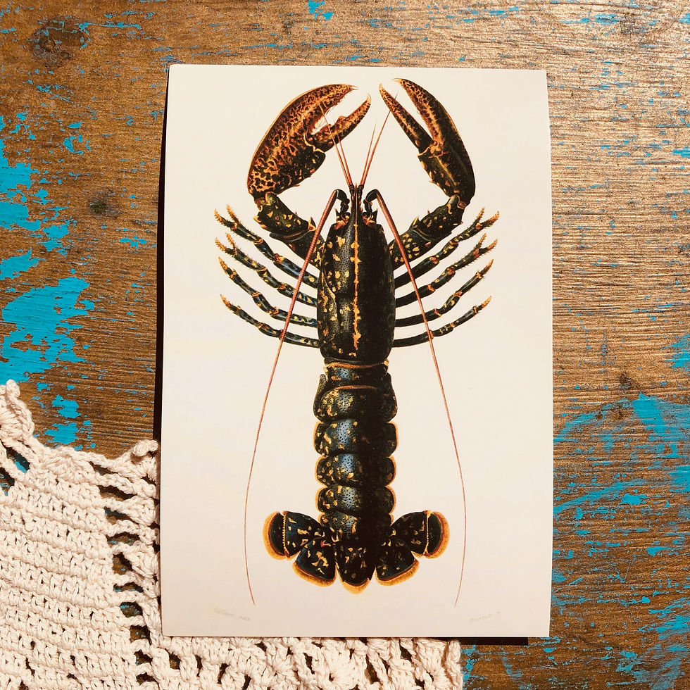 Thumbnail: Simple Life 5 Pack Wall Prints