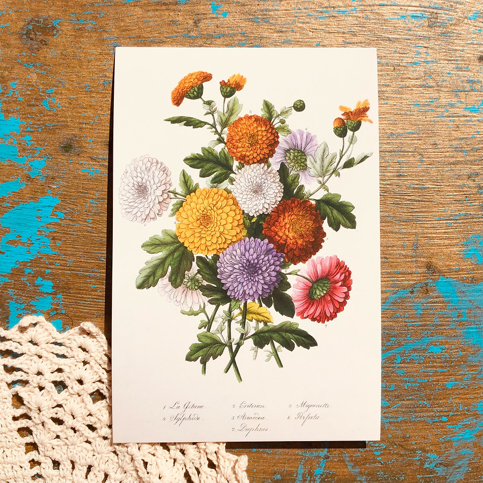 Thumbnail: Appalachian Floral 5 Pack Wall Prints