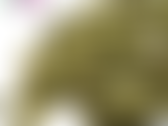 గుమ్మడి గింజలలో దాగి ఉన్న రహస్యాలు