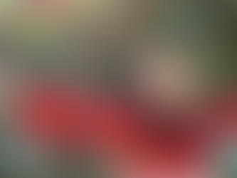 వర్షంలో తడిస్తే జలుబు వస్తుందా?