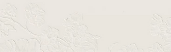 a50667d44368de9cf7c91c741c61b413_edited.png