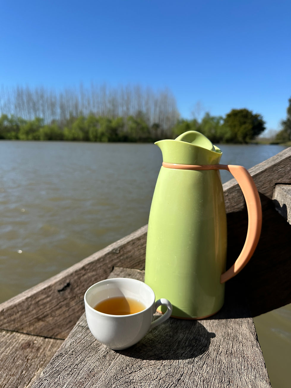 Mate tee als mate cosido auf einem Steg im Paranadelta