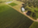 12-Acres of Fruit