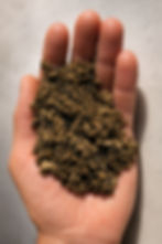 fiber in hand_edited.jpg