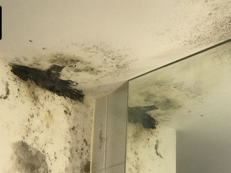 Defect-riddled apartments covered in mould could be write-offs as repair costs mount