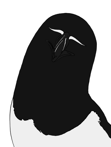 Untitled_Artwork 7