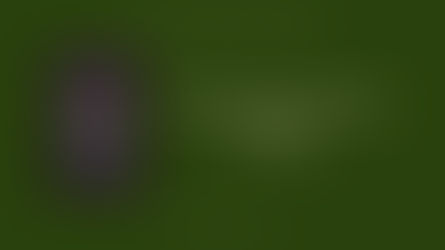 Review--These Hallowed Binds