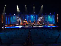 Gradam Ceoil TG4/Red Shoe