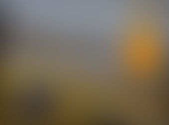 The Window
