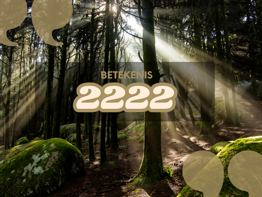 Betekenis nummer 2222