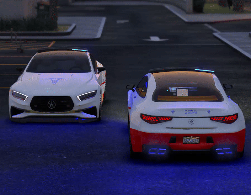 coupe_ems.gif