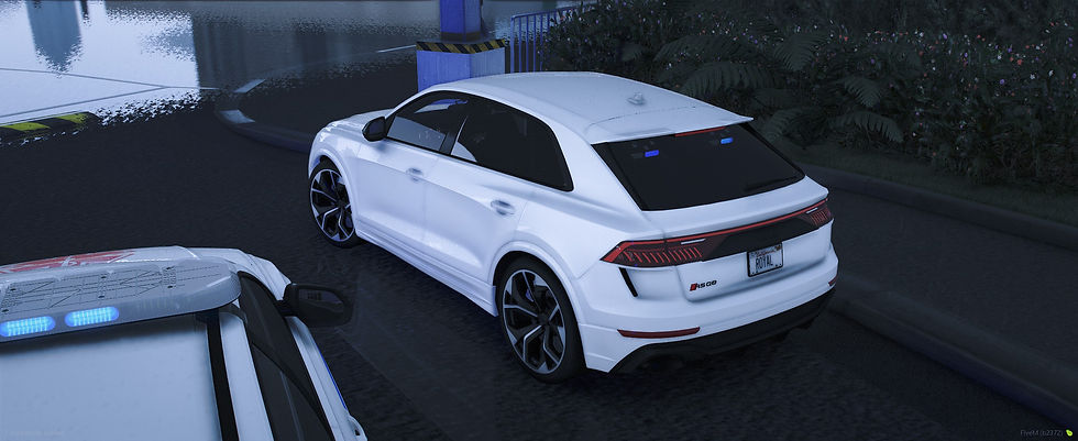 Miniatura: Audi RSQ8 - EMS