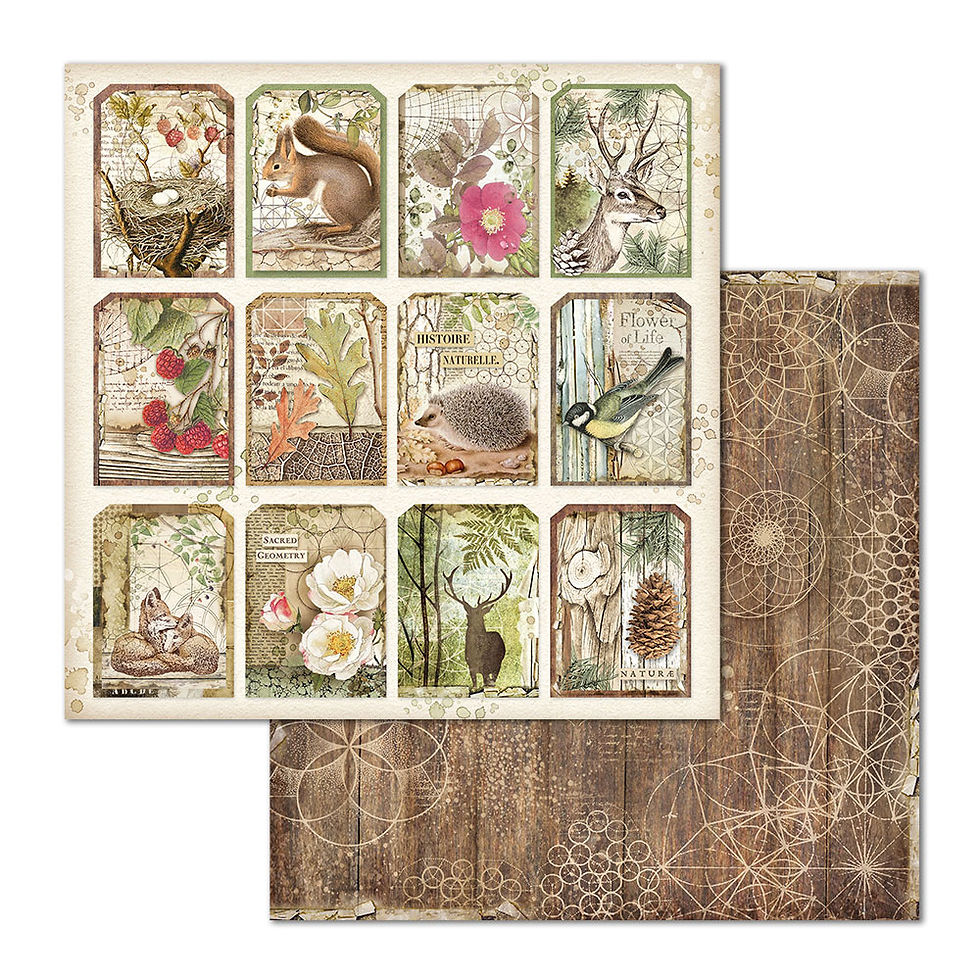 Miniatura: Scrapbooking Small Pad 10 sheets cm 20,3X20,3 (8"X8") - Forest