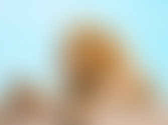 Endless Plains - The Serengeti