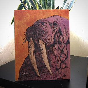 I am the Walrus, in quarantine