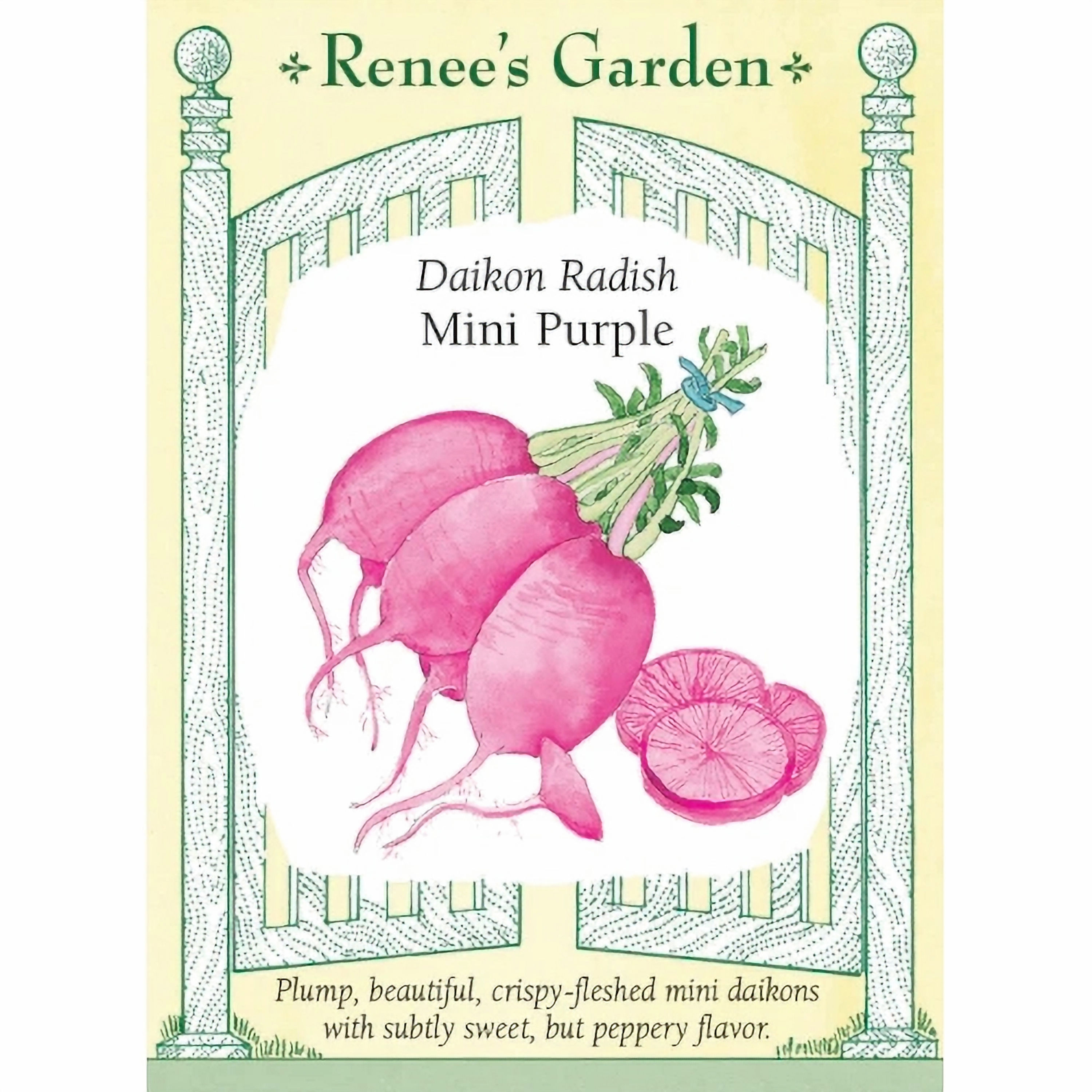 Renee's Garden Daikon Mini Purple Radish Seeds, Per Package